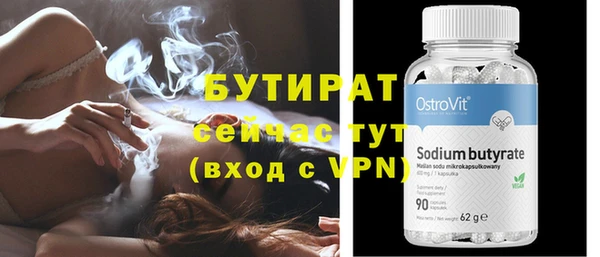 прущие грибы Сосновый Бор