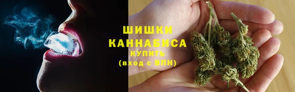 прущие грибы Сосновый Бор