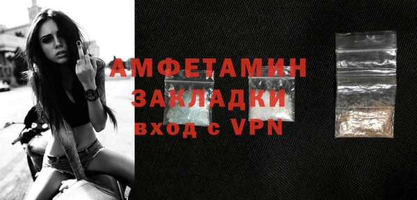 прущие грибы Сосновый Бор