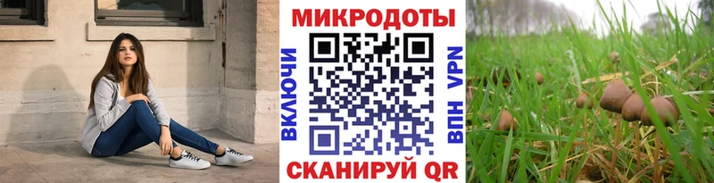 Купить  Череповец  Галлюциногенные грибы Psilocybine cubensis 